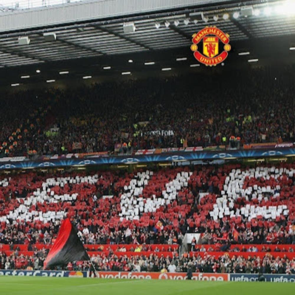 Meet your Posher, William